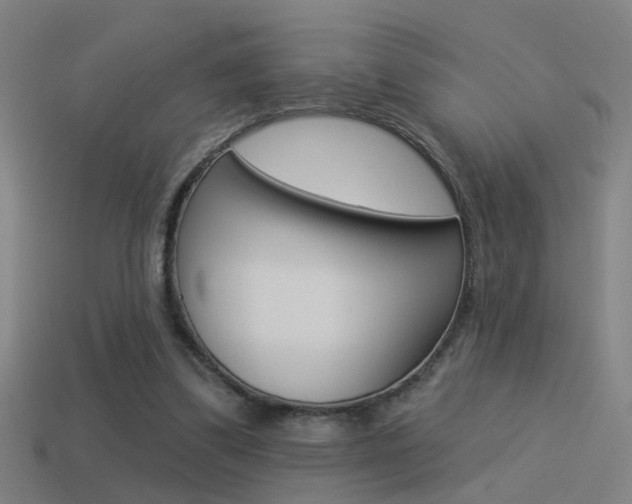 X0000114510299200910190934