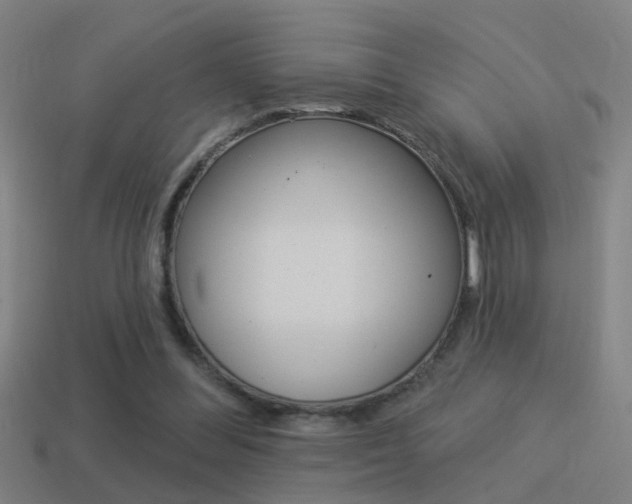 X0000114510300200910190934