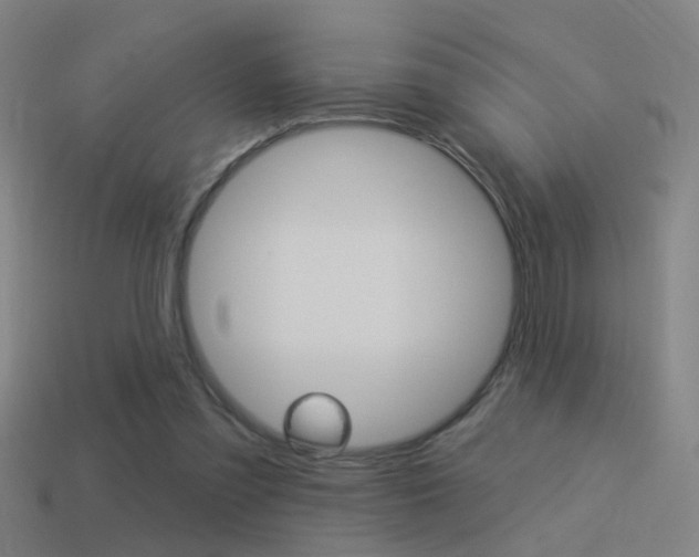 X0000114510301200910190934