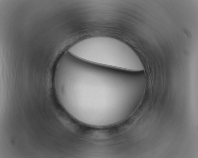 X0000114510303200910190934