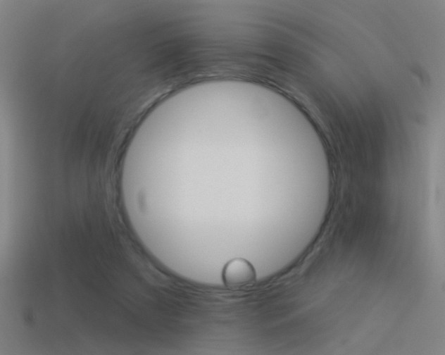 X0000114510305200910190934