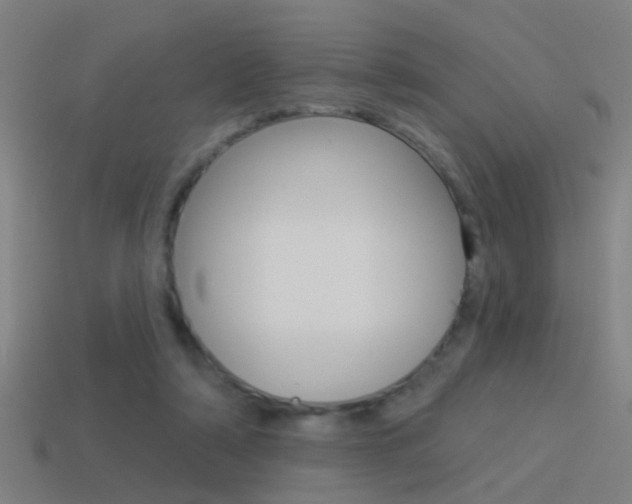 X0000114510306200910190934