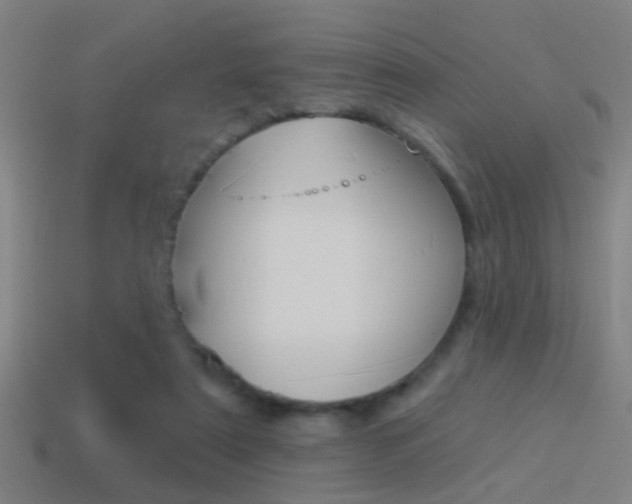 X0000114510307200910190934