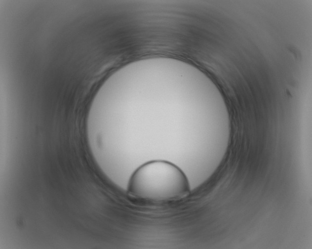 X0000114510308200910190934