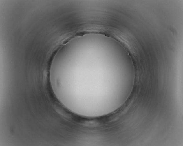 X0000114510309200910190934