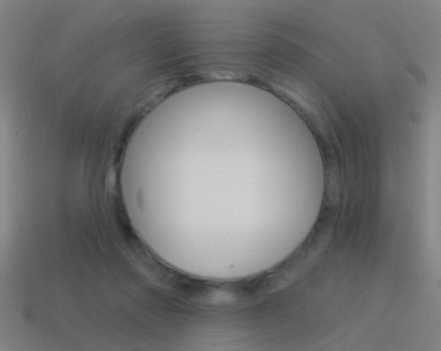 X0000114510310200910190934