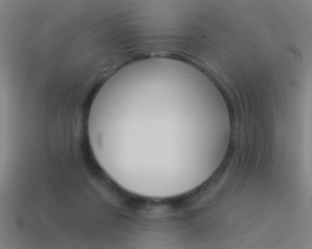 X0000114510311200910190934