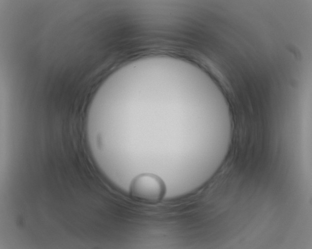 X0000114510313200910190934
