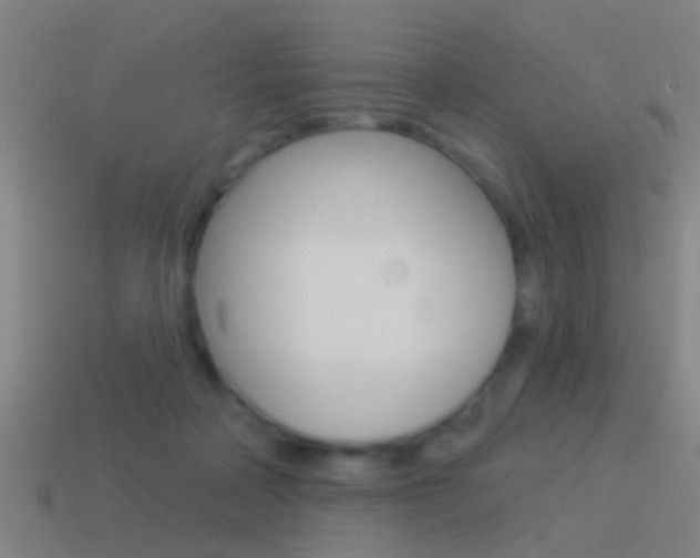 X0000114510314200910190934