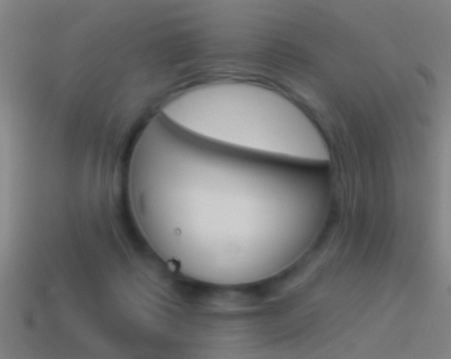 X0000114510315200910190934