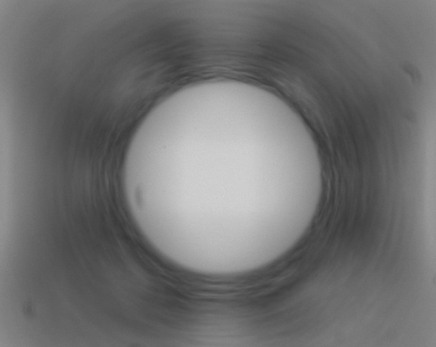X0000114510316200910190934