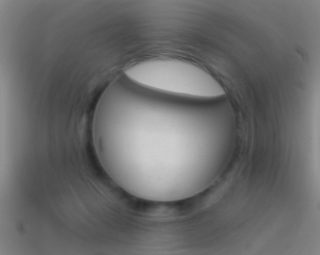X0000114510319200910190934