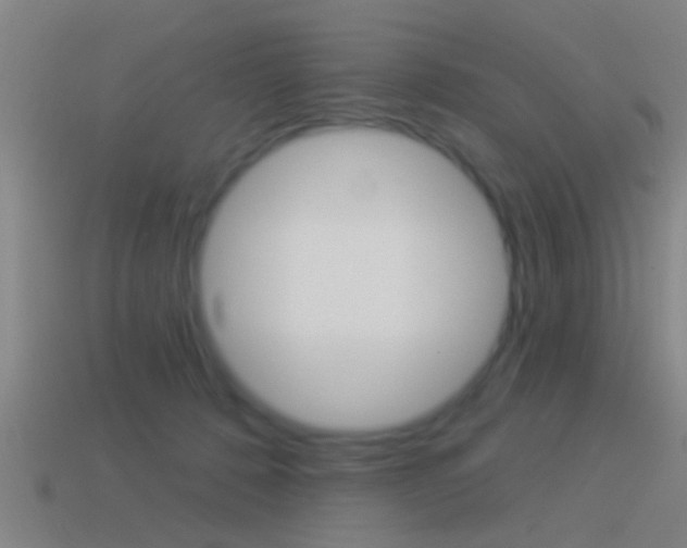 X0000114510320200910190934