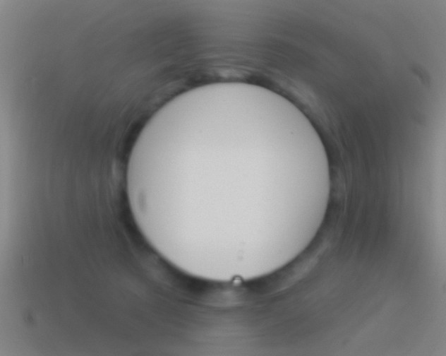 X0000114510321200910190934