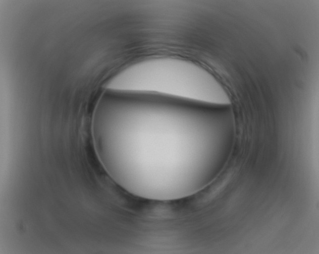 X0000114510325200910190934