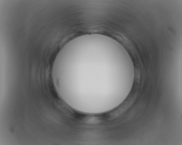 X0000114510326200910190934