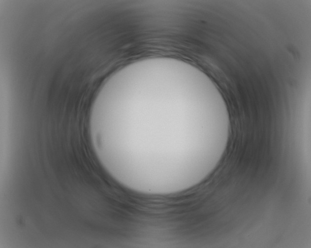 X0000114510327200910190934