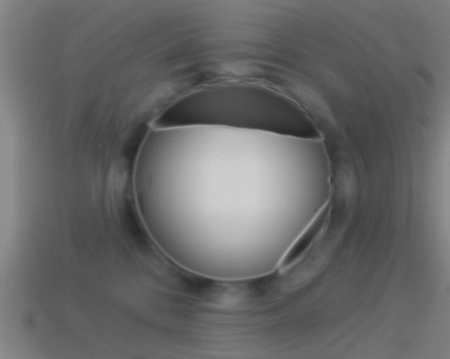 X0000114510328200910190934