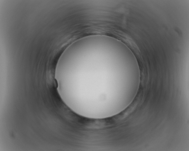 X0000114510329200910190934