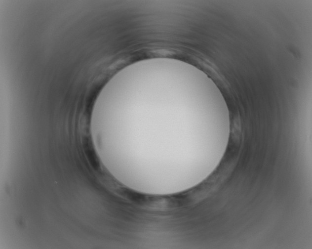 X0000114510330200910190934