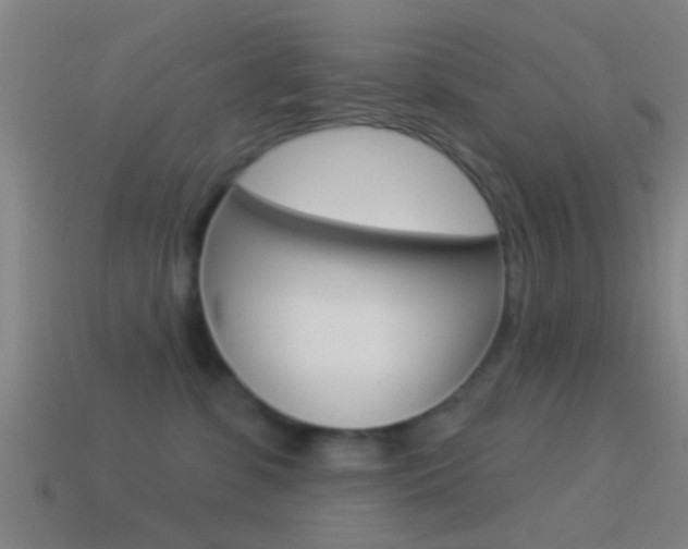 X0000114510331200910190934