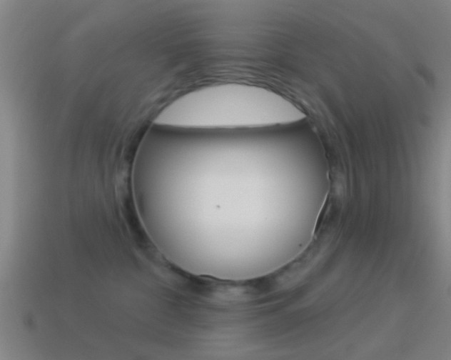 X0000114510332200910190934