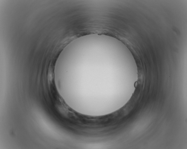 X0000114510334200910190934