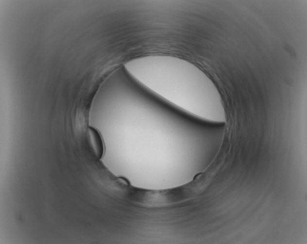 X0000114510335200910190934