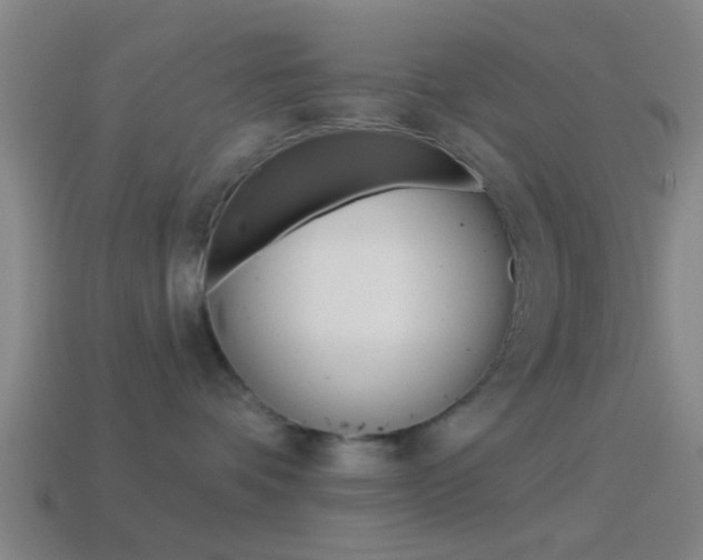 X0000114510336200910190934