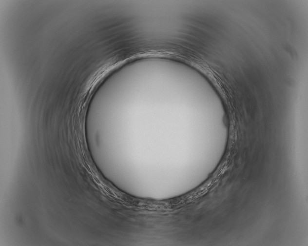 X0000114510337200910190933