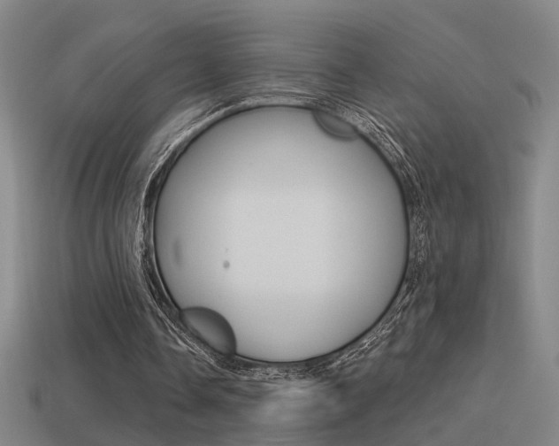X0000114510338200910190933
