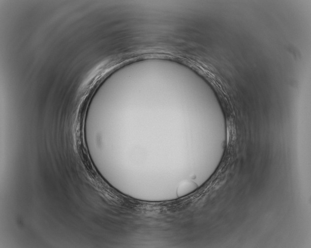 X0000114510339200910190933