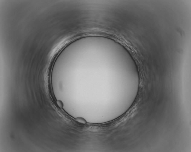 X0000114510341200910190933