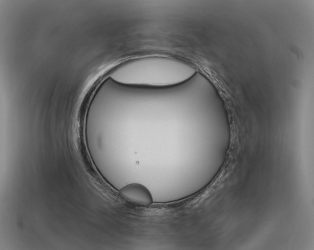 X0000114510342200910190933