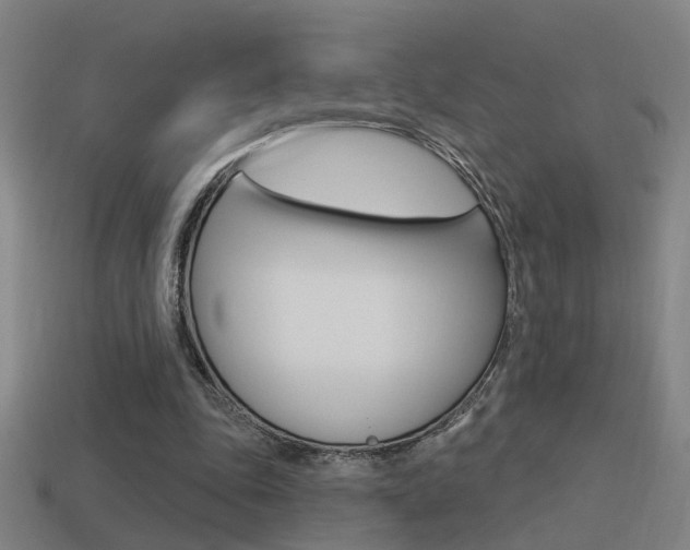 X0000114510343200910190933