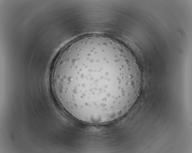 X0000114510346200910190933