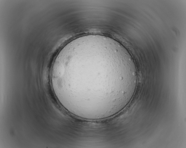 X0000114510347200910190933