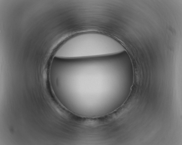 X0000114510350200910190933