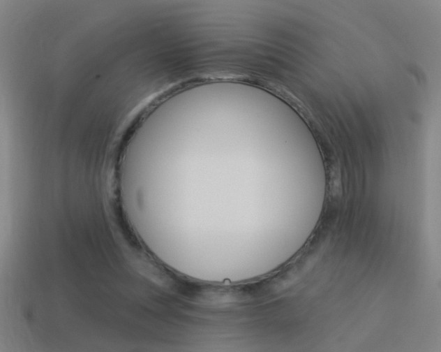 X0000114510351200910190933