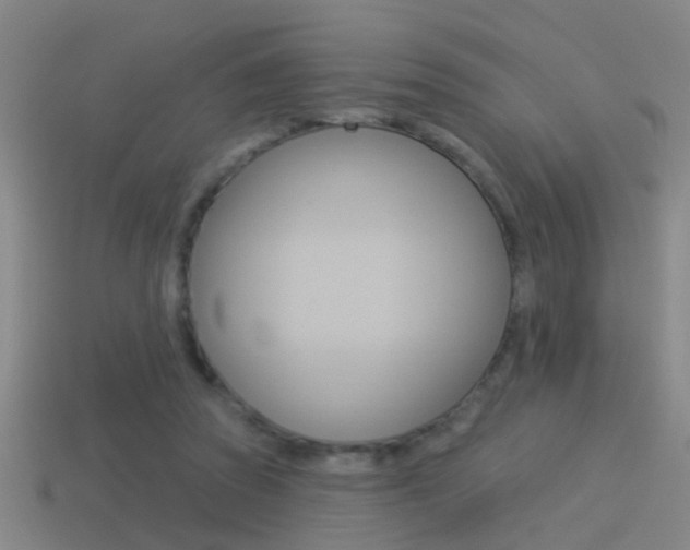 X0000114510353200910190933