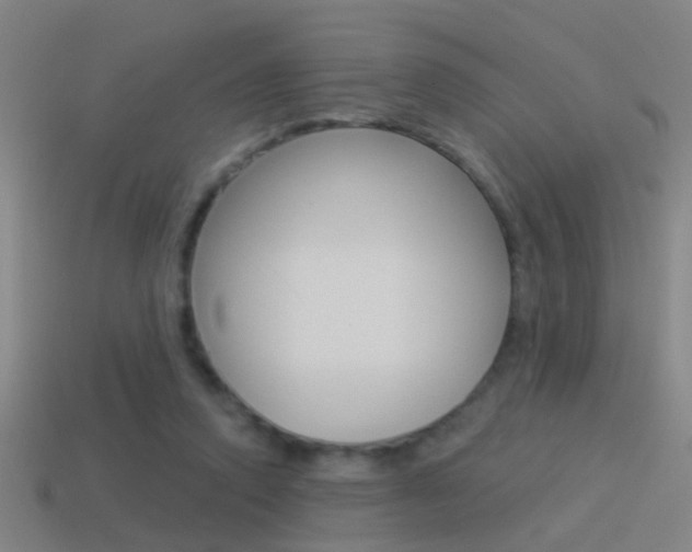 X0000114510354200910190933