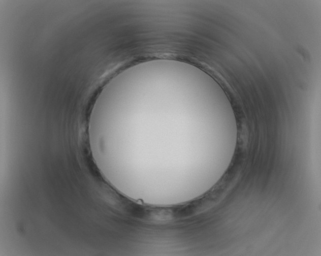 X0000114510355200910190933