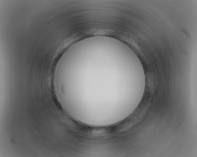 X0000114510357200910190934