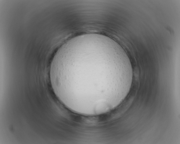 X0000114510359200910190934