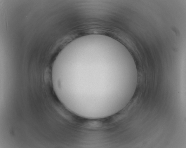X0000114510361200910190934