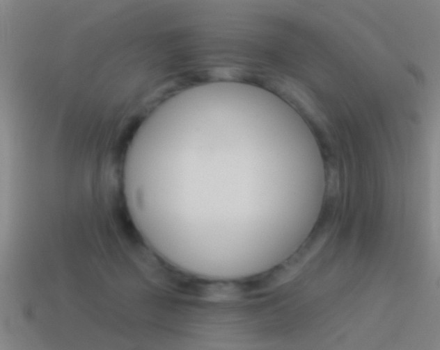 X0000114510363200910190934