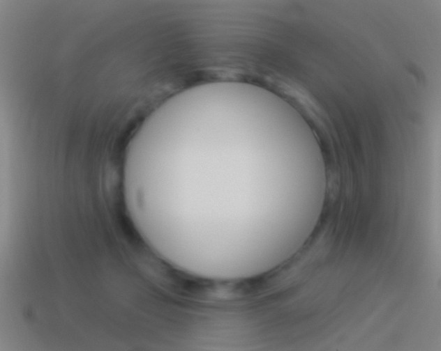 X0000114510365200910190934