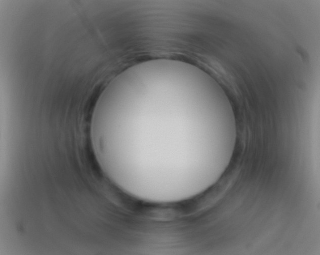 X0000114510366200910190934