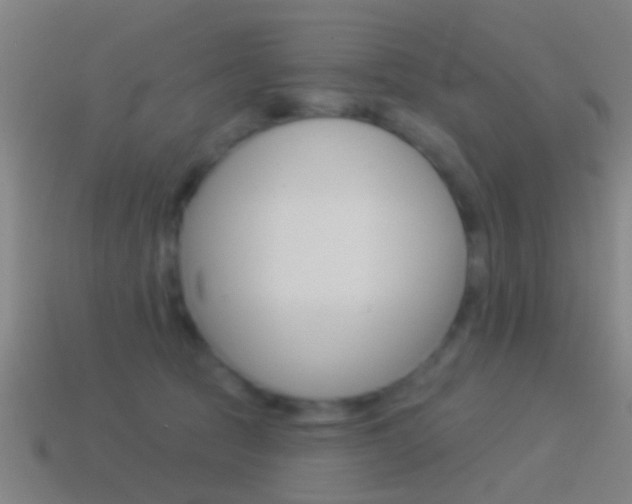 X0000114510369200910190934