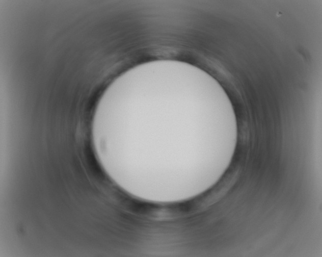 X0000114510370200910190934